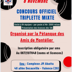 Concours de pétanque du 8/11/2026